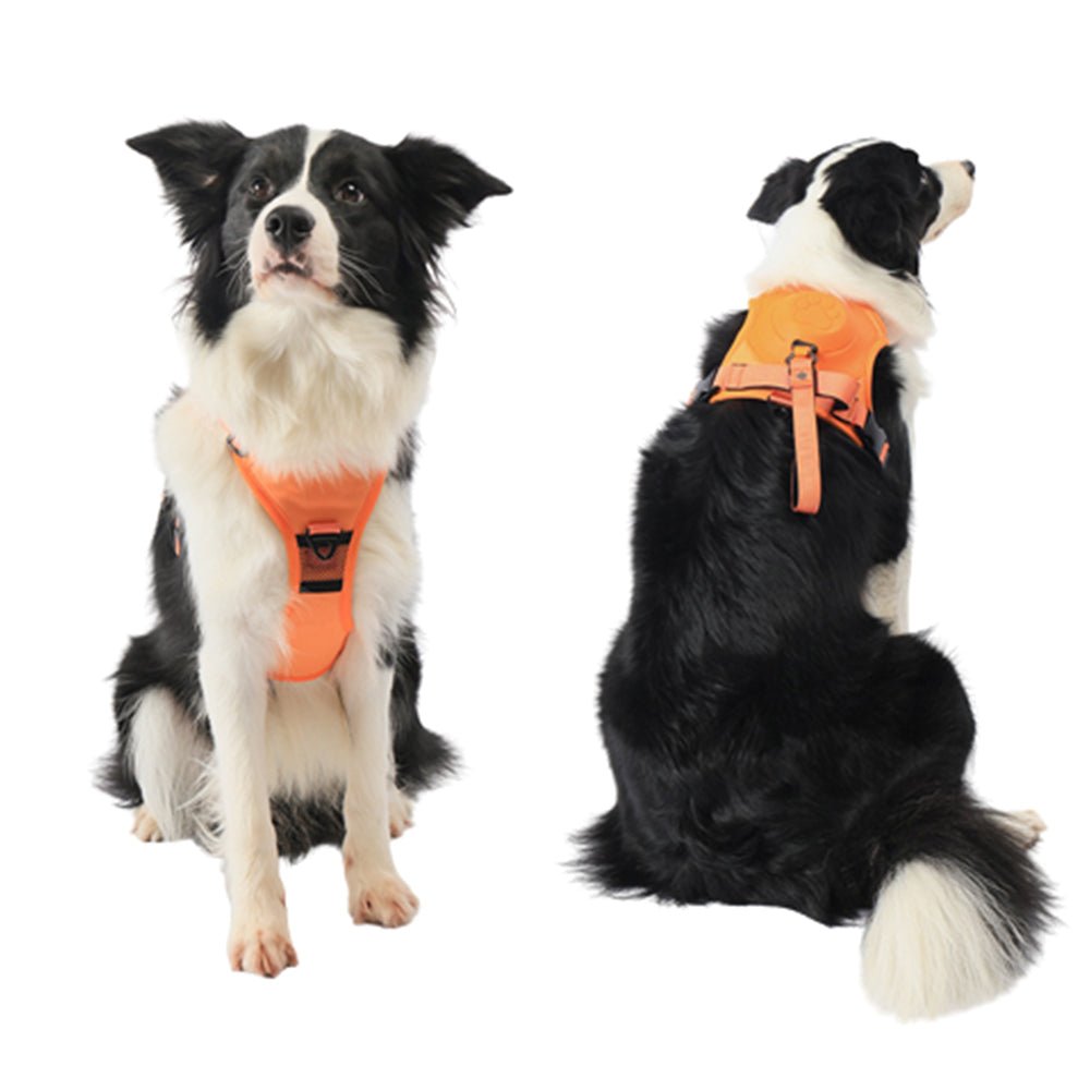 Vibe Geeks Ultimate 2-in-1 Reflective No-pull Dog Harness with Retractable Leash and Control Handle - Blue - L