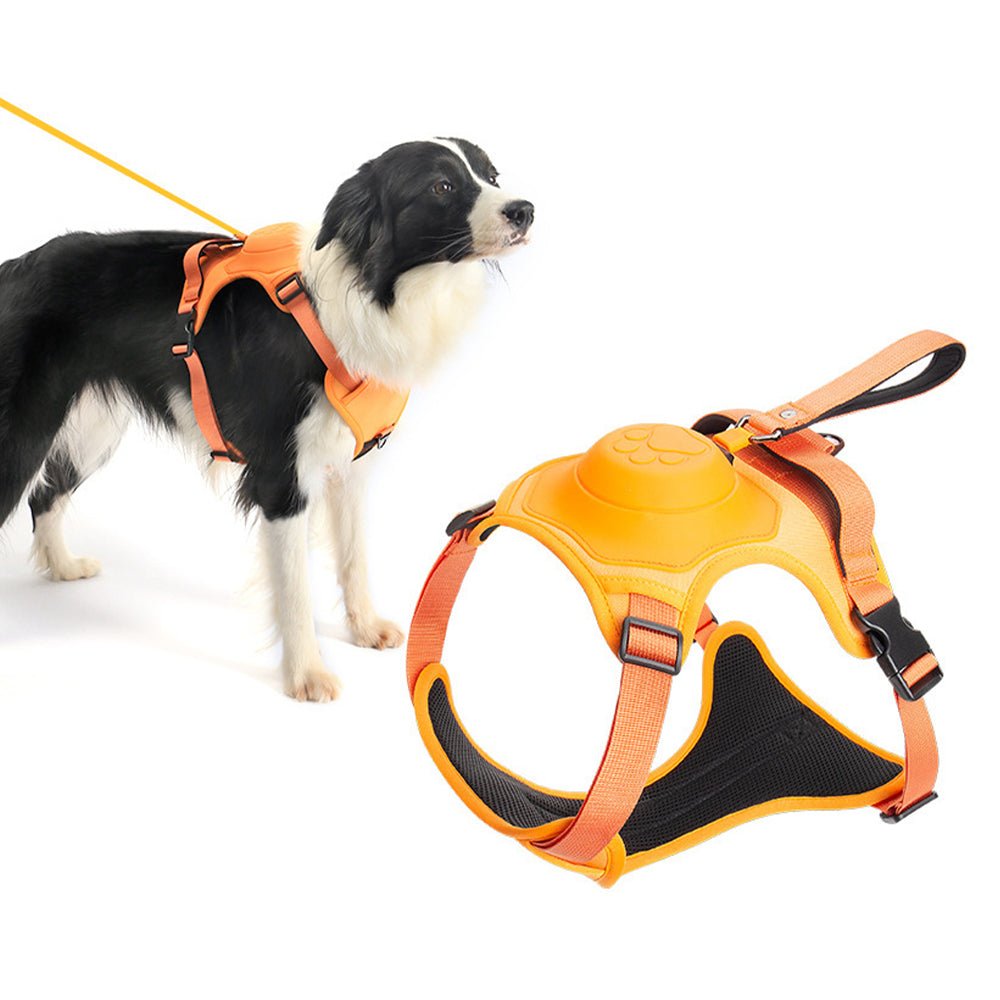 Vibe Geeks Ultimate 2-in-1 Reflective No-pull Dog Harness with Retractable Leash and Control Handle - Blue - L