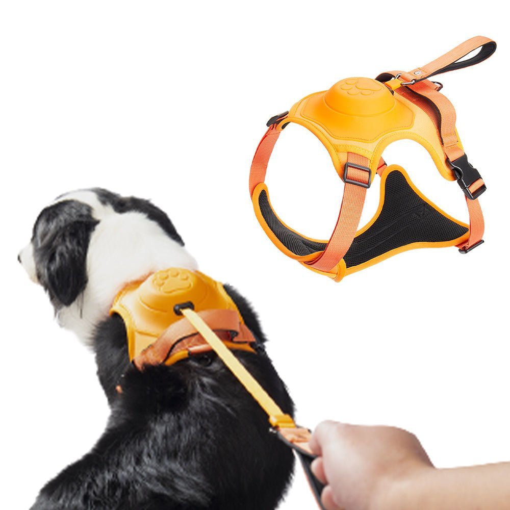 Vibe Geeks Ultimate 2-in-1 Reflective No-pull Dog Harness with Retractable Leash and Control Handle - Blue - L