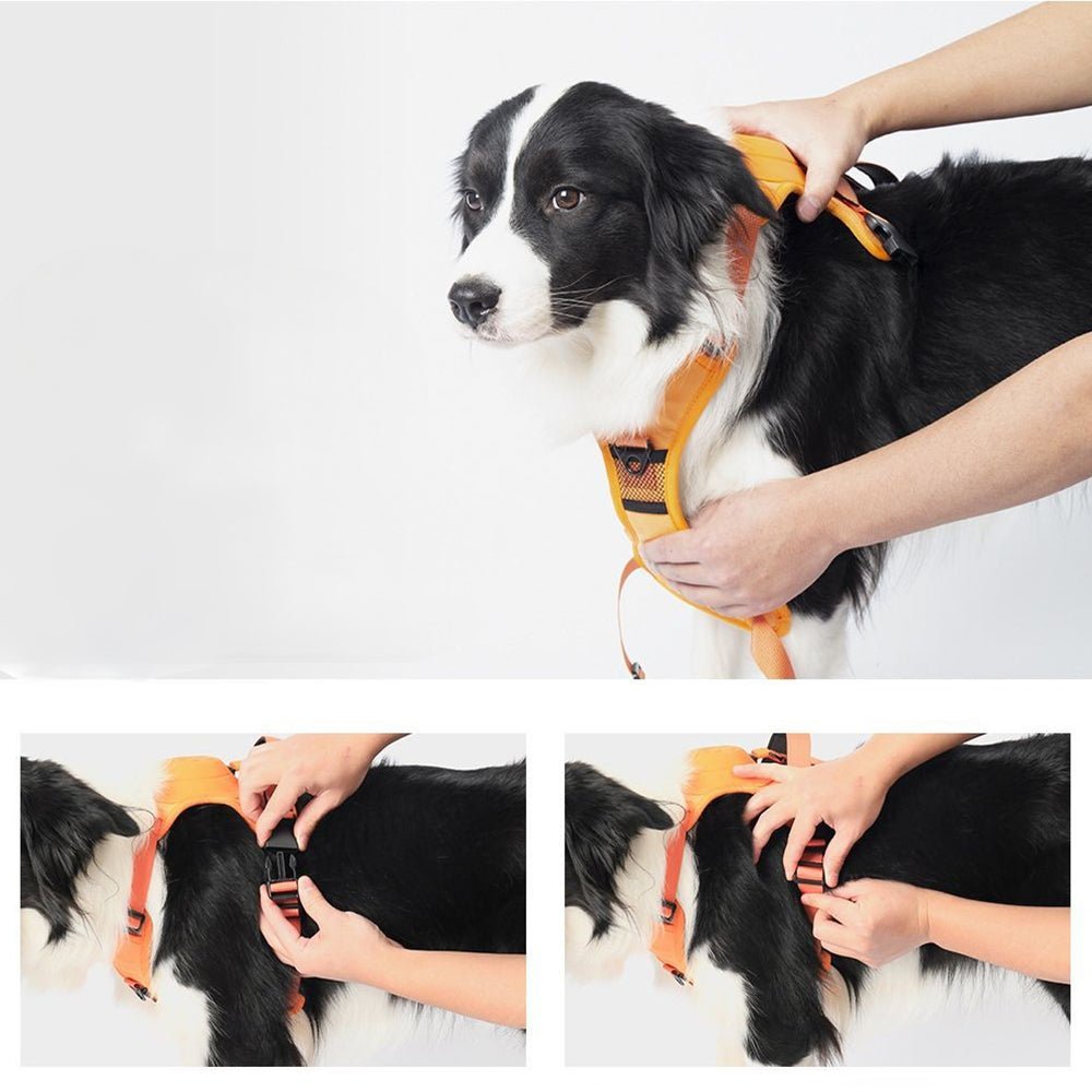 Vibe Geeks Ultimate 2-in-1 Reflective No-pull Dog Harness with Retractable Leash and Control Handle - Orange - M