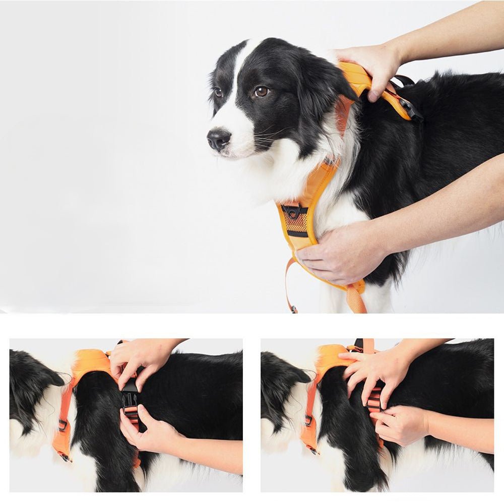 Vibe Geeks Ultimate 2-in-1 Reflective No-pull Dog Harness with Retractable Leash and Control Handle - Orange - Xl