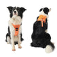 Vibe Geeks Ultimate 2-in-1 Reflective No-pull Dog Harness with Retractable Leash and Control Handle - Red - Xl