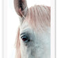 Horse print photography animal white background and neutral boho style 