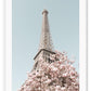 Eiffel tower Paris print with pink cherry blossoms and blue sky, pastel colours and dynamic view 