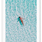 Swim