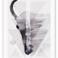 Scandi geometric faded watercolour print with skull and ocean in muted grey colours