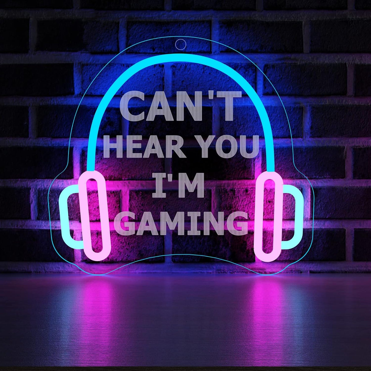 Can't Hear You Neon Sign
