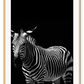 Zebra Black
