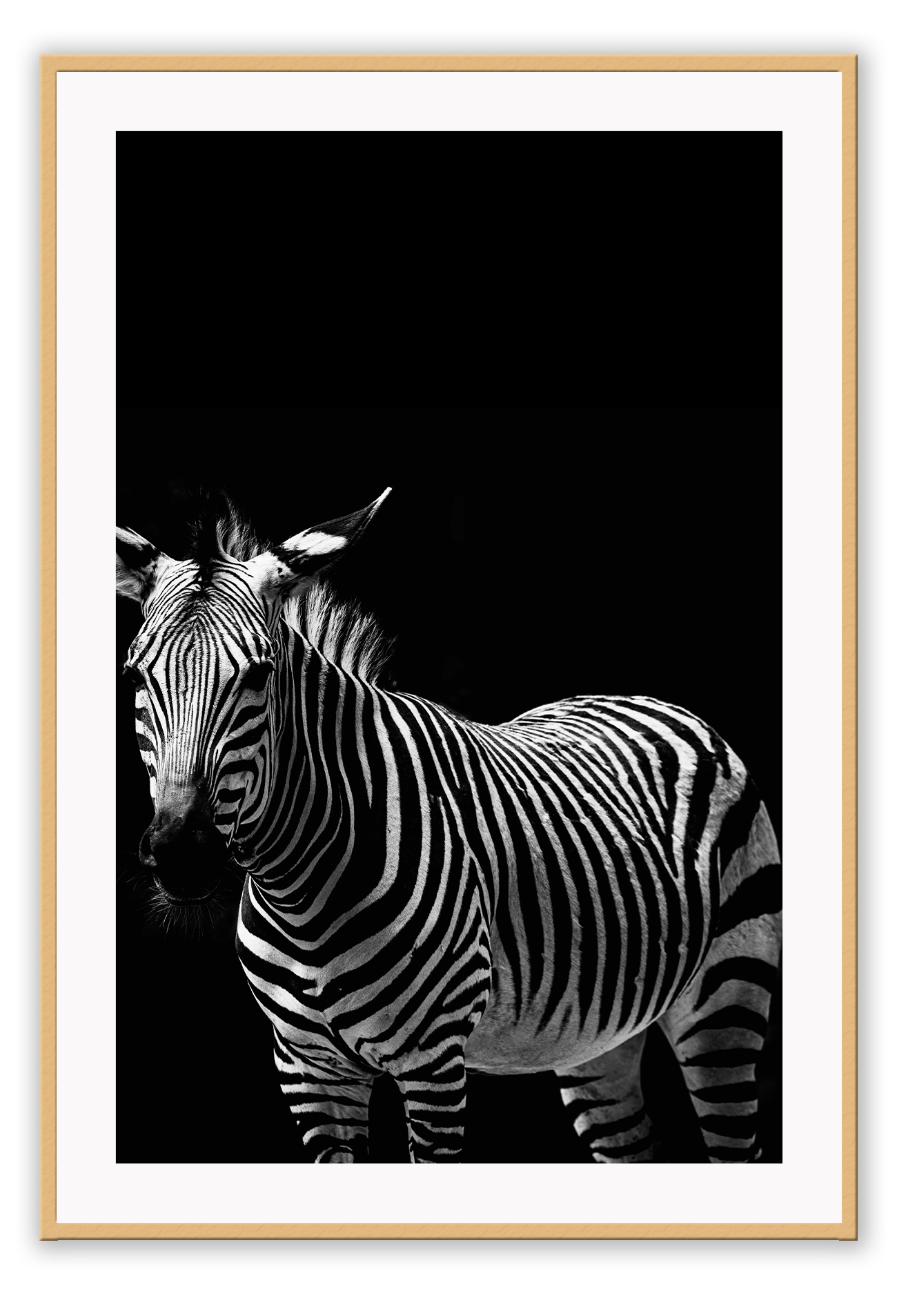 Zebra Black