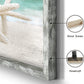 Beach Framed Wooden Wall Art: Coastal Artwork Set of 4 Starfish Seashell & Sand Dollar Pictures Ocean Prints for Home Decor