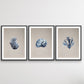 Hamptons Dark Coral On Linen Seaside Wall Art Prints - Three Piece Art Print