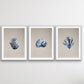 Hamptons Dark Coral On Linen Seaside Wall Art Prints - Three Piece Art Print