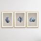Hamptons Dark Coral On Linen Seaside Wall Art Prints - Three Piece Art Print
