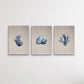 Hamptons Dark Coral On Linen Seaside Wall Art Prints - Three Piece Art Print
