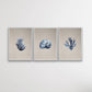 Hamptons Dark Coral On Linen Seaside Wall Art Prints - Three Piece Art Print